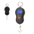 Hanging Weight Scale, 110lb/50kg Mini Crane Fishing Scale
