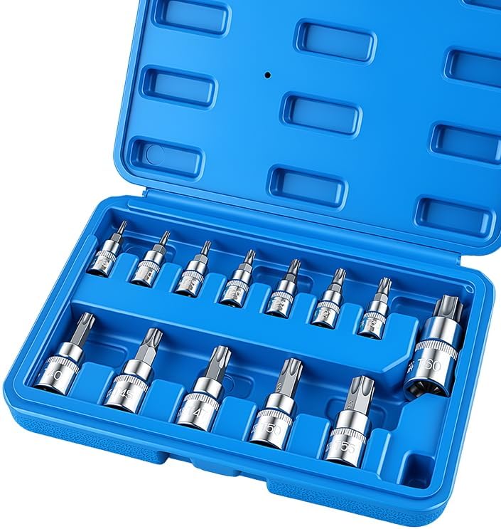 13-Piece Torx Bit Socket Set, T8-T60 Star Bit Sockets