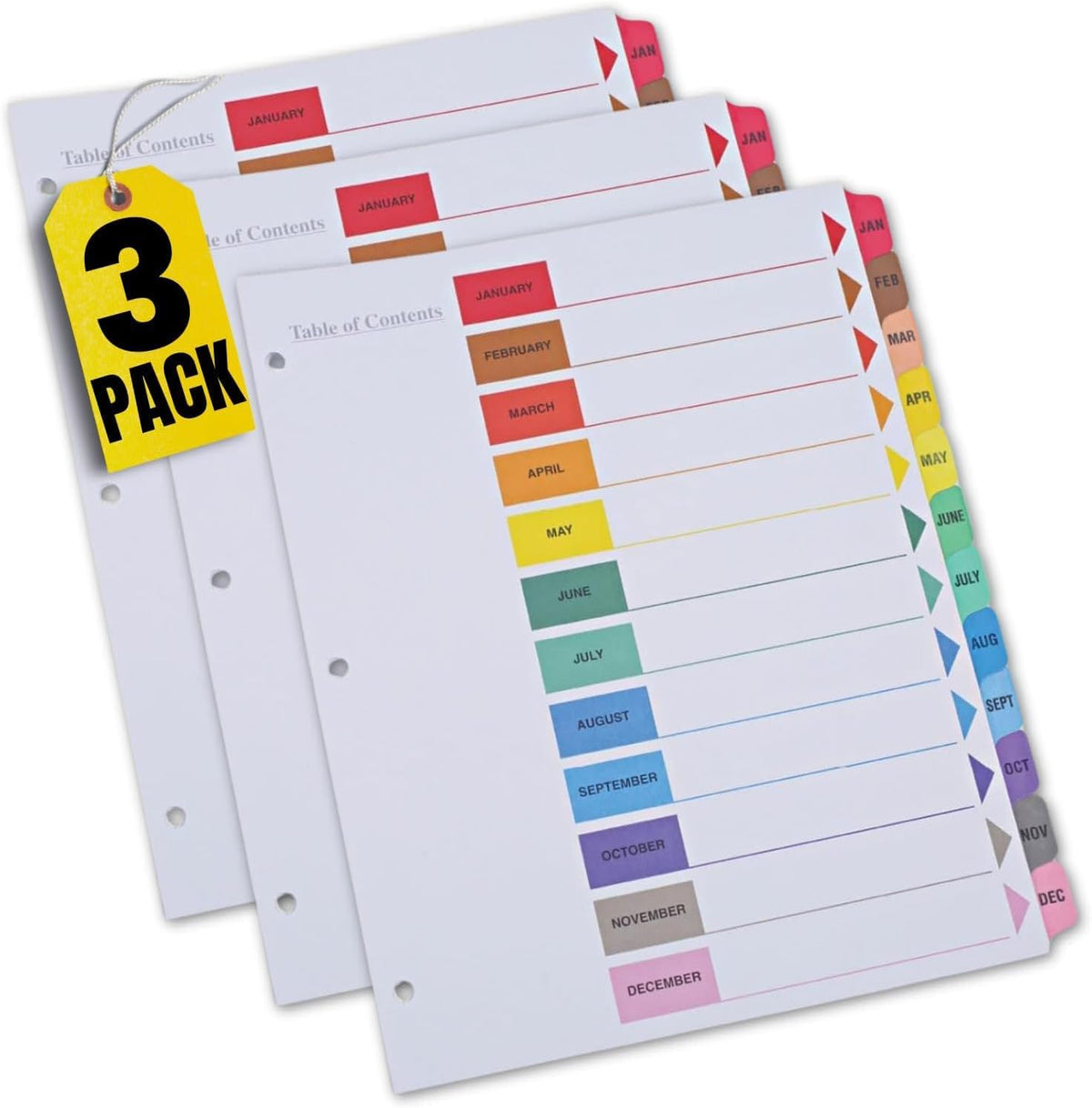 1InTheOffice Monthly Dividers for 3 Ring Binder, Monthly Dividers