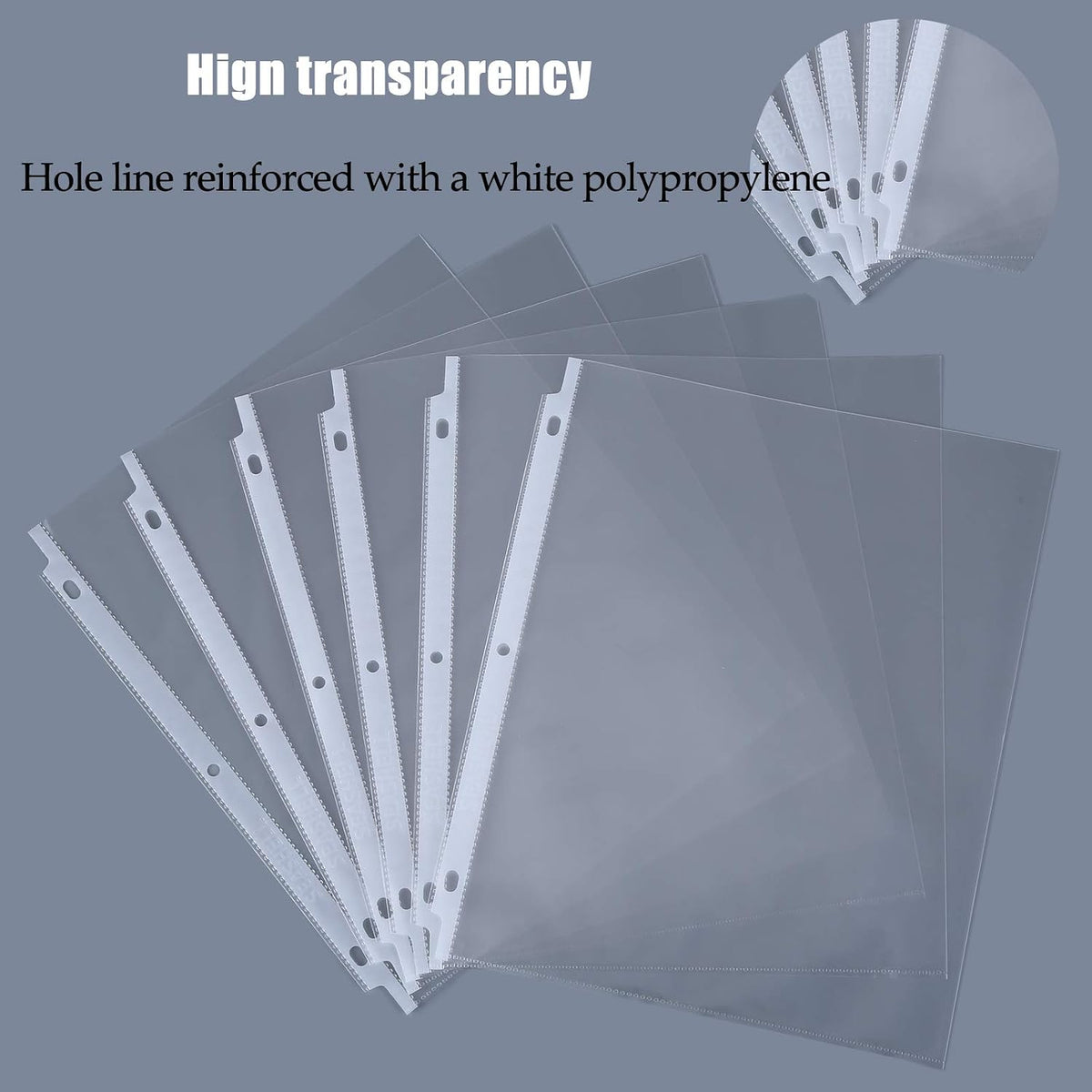 Seashell 250 Economy Sheet Protectors 8.5 x 11