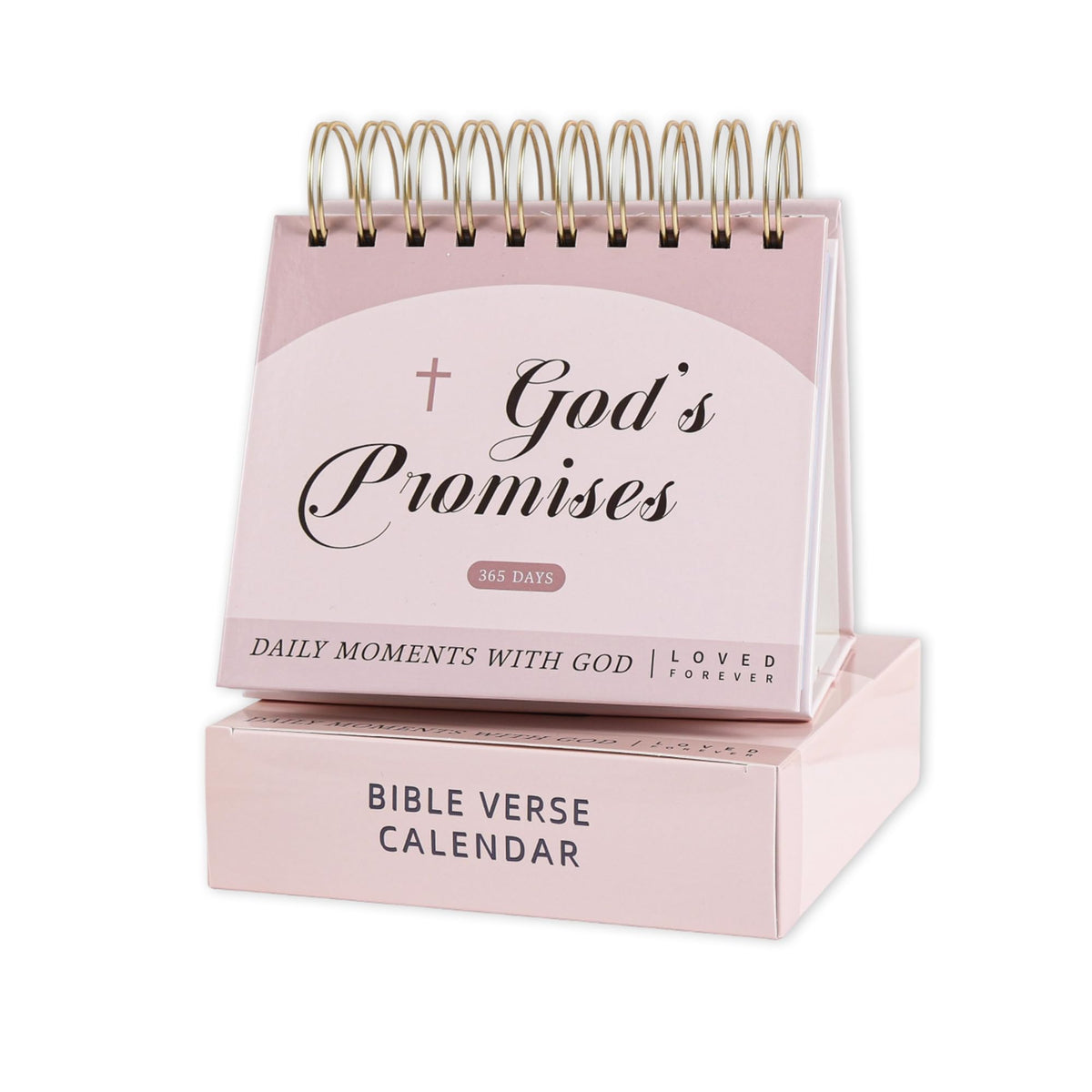 365-Day Inspirational Desk Calendar for Women - Large Coil Bound Motivational Desktop