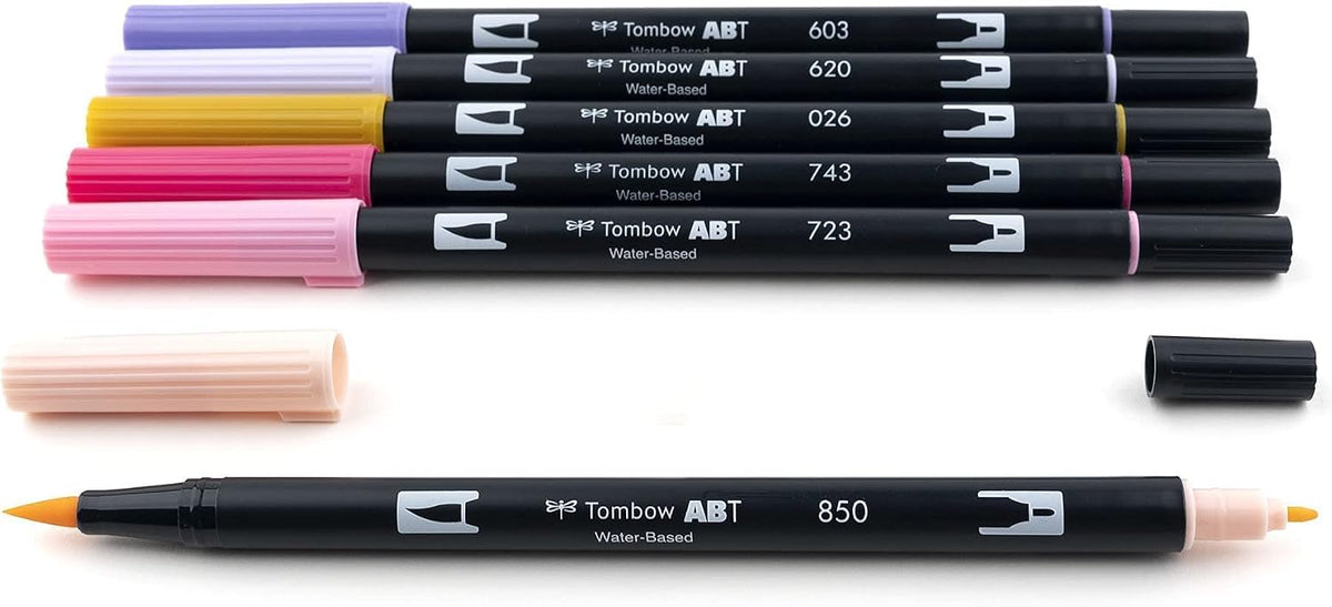Tombow 56228 Dual Brush Pen Art Markers Sweetheart, Portrait, 1 Count (Pack of 6)