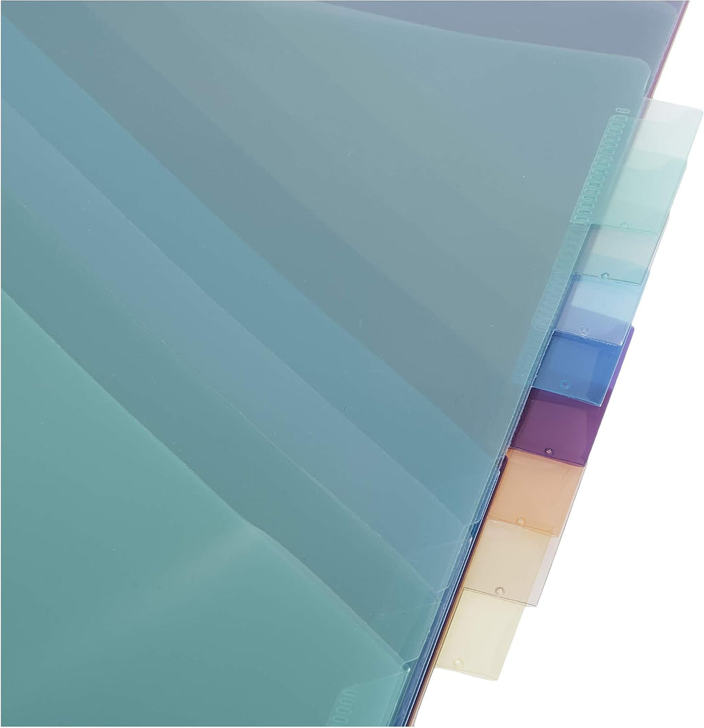 Amazon Basics Tab Dividers for 3 Ring Binder, Two Pocket, Letter Size