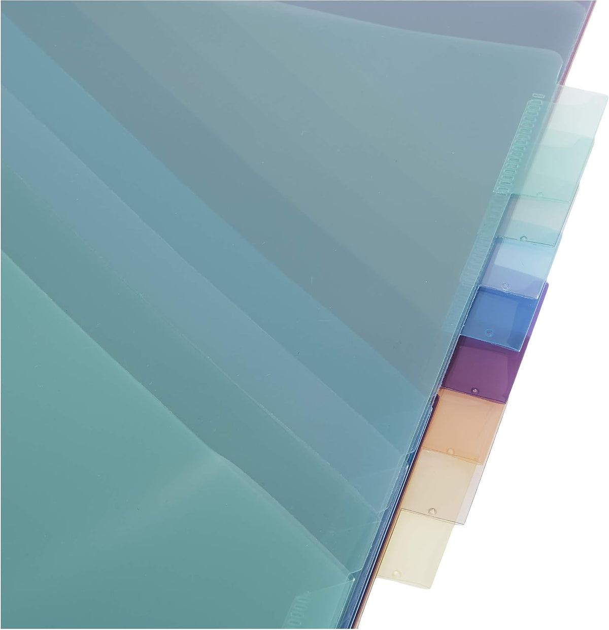 Amazon Basics Tab Dividers for 3 Ring Binder, Two Pocket, Letter Size