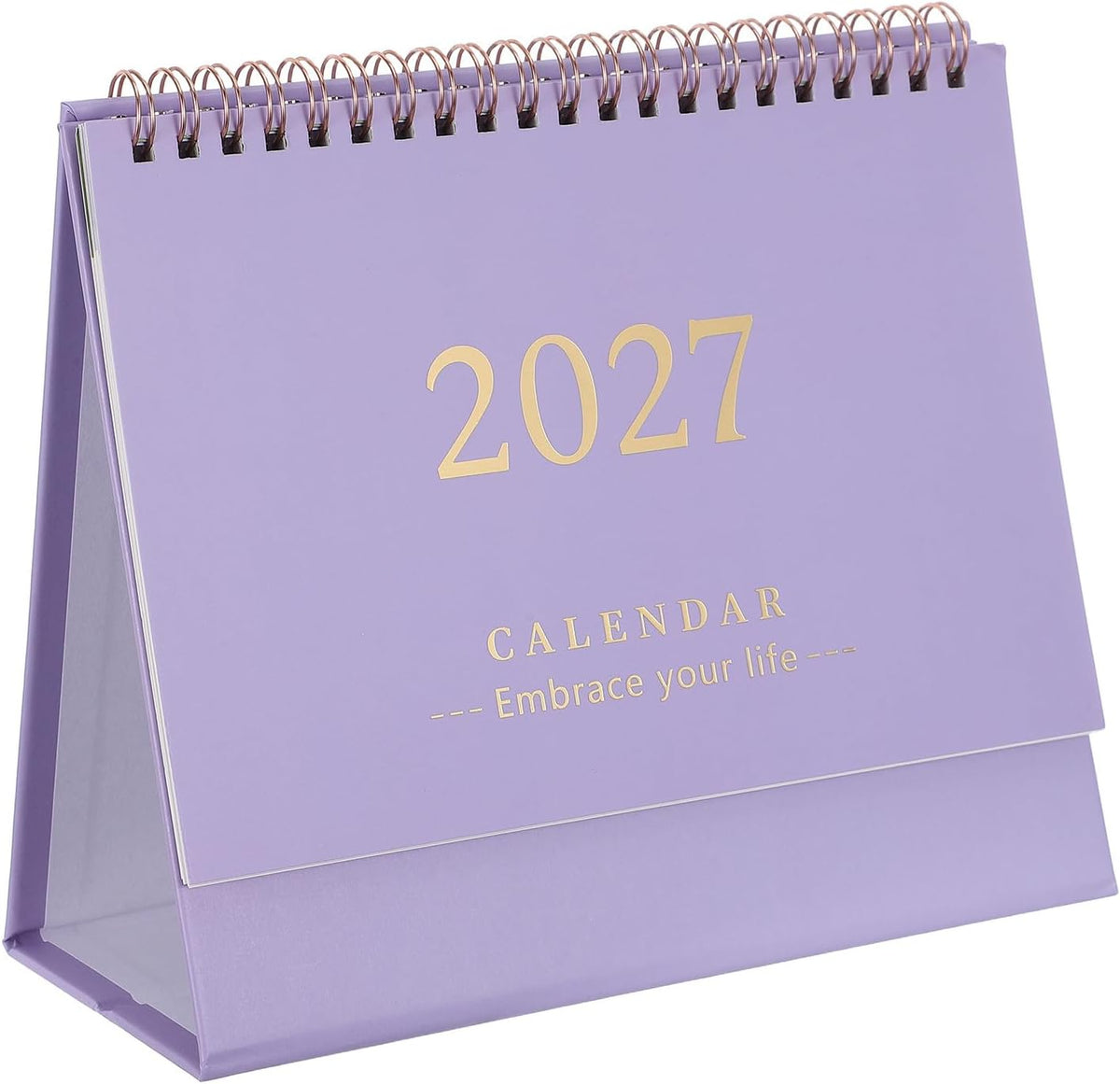 NUOBESTY Monthly Desk Calendar 2026-2027 Standing Flip Daily Calendar