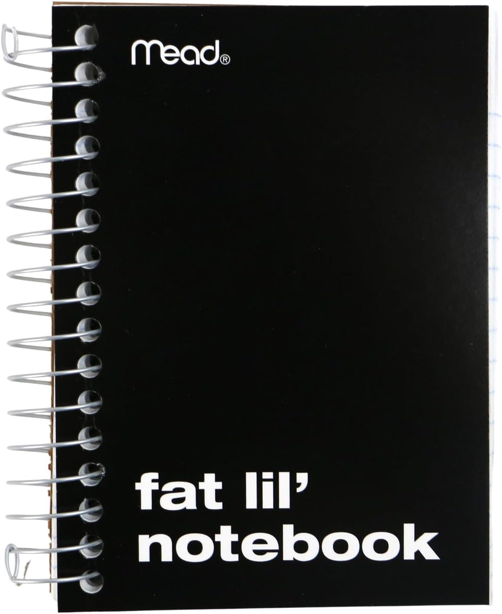 MEA45390 - Mead Fat Lil Fashion Notebook by Mead (assorted - pack of 1)