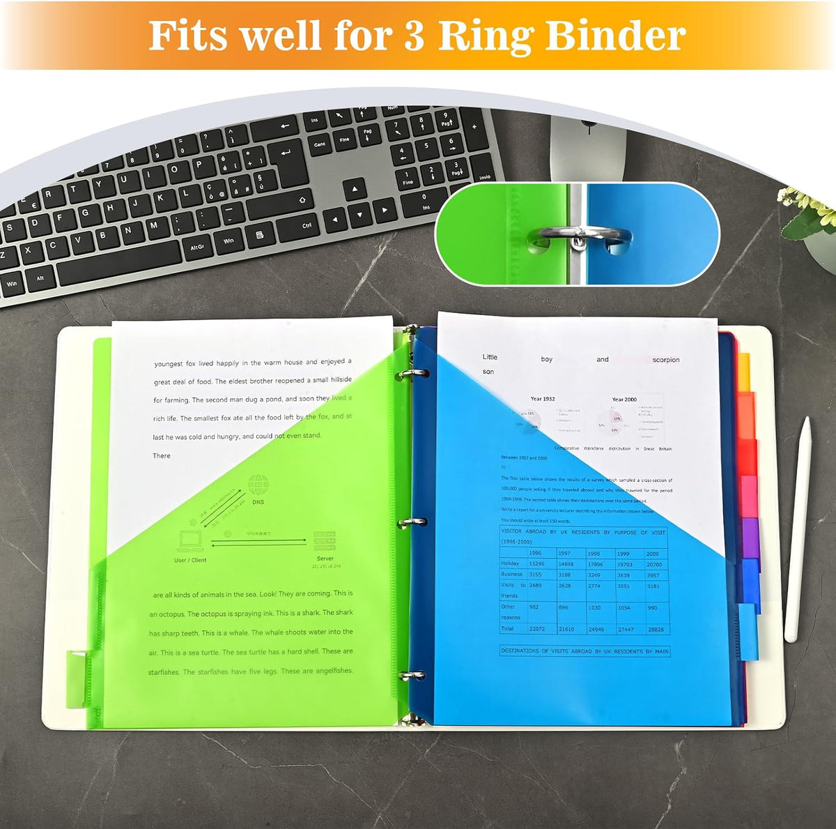 SUQJOY 8-Tab Dividers for 3 Ring Binder, 24 Count Binder Dividers with Pockets
