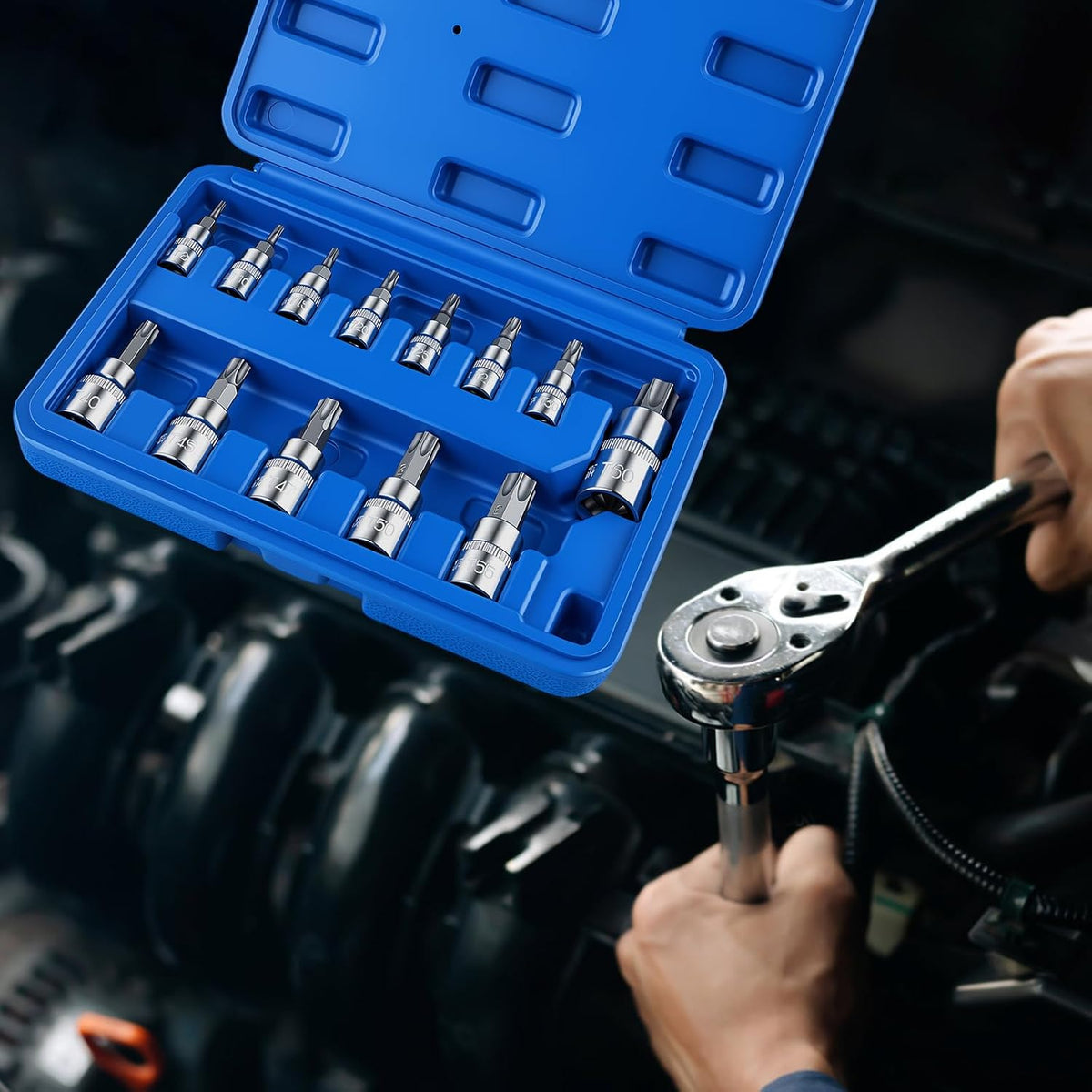 13-Piece Torx Bit Socket Set, T8-T60 Star Bit Sockets