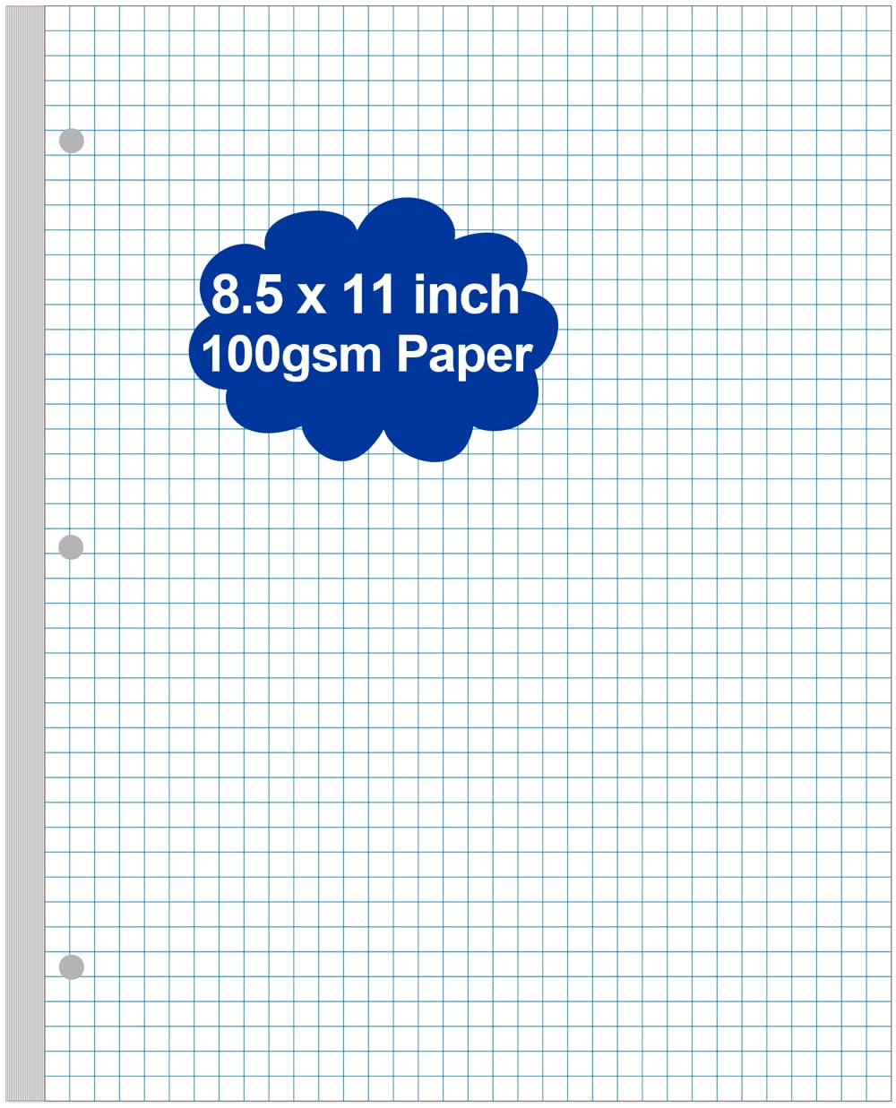 A4 TUL Discbound Grid Filler Paper - 11 Disc Graph Paper