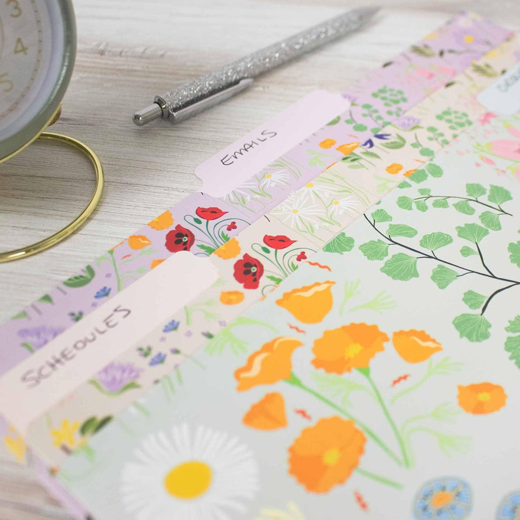bloom daily planners Decorative File Folders - Set of Six Letter Size (8.5” x 11”)