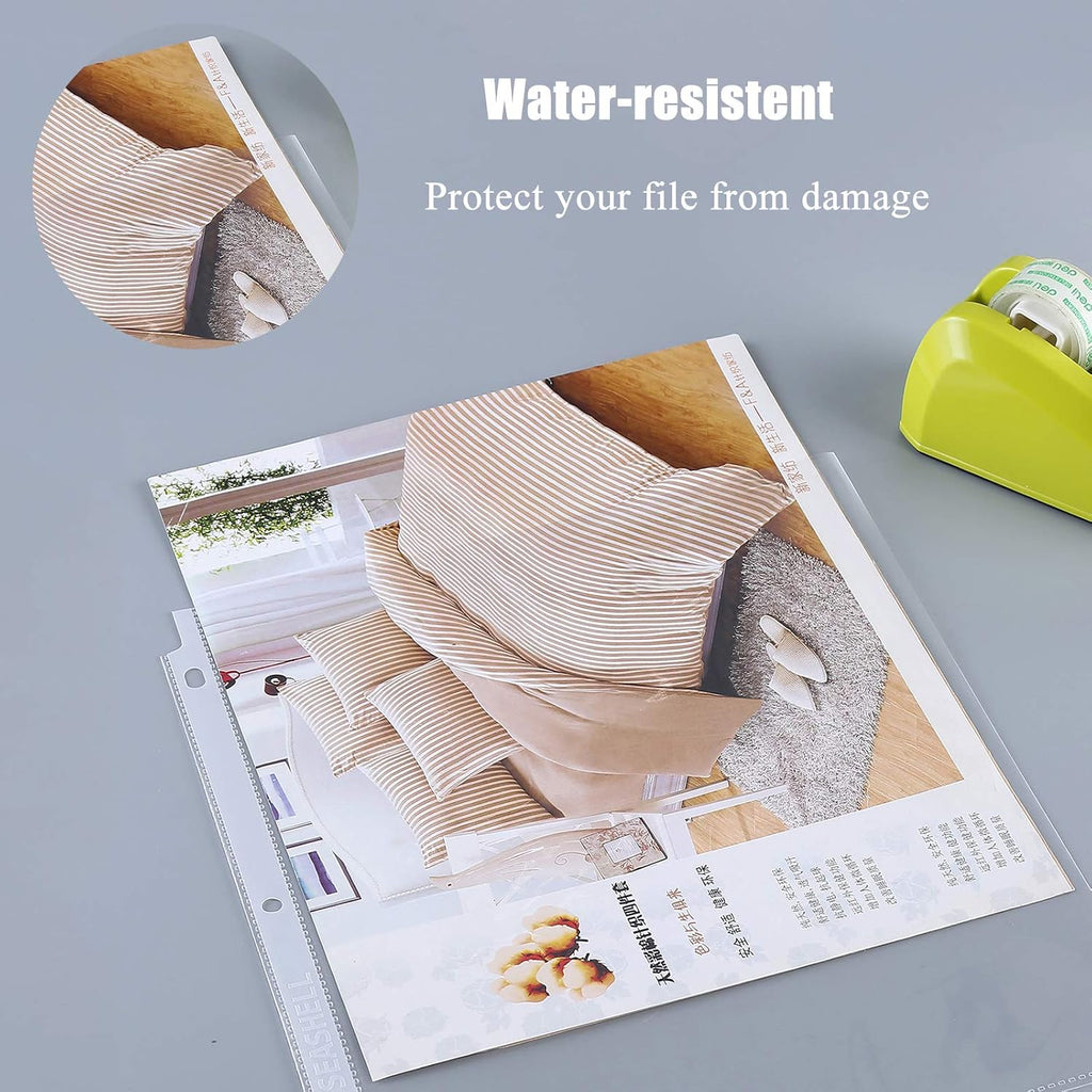 Seashell 250 Economy Sheet Protectors 8.5 x 11