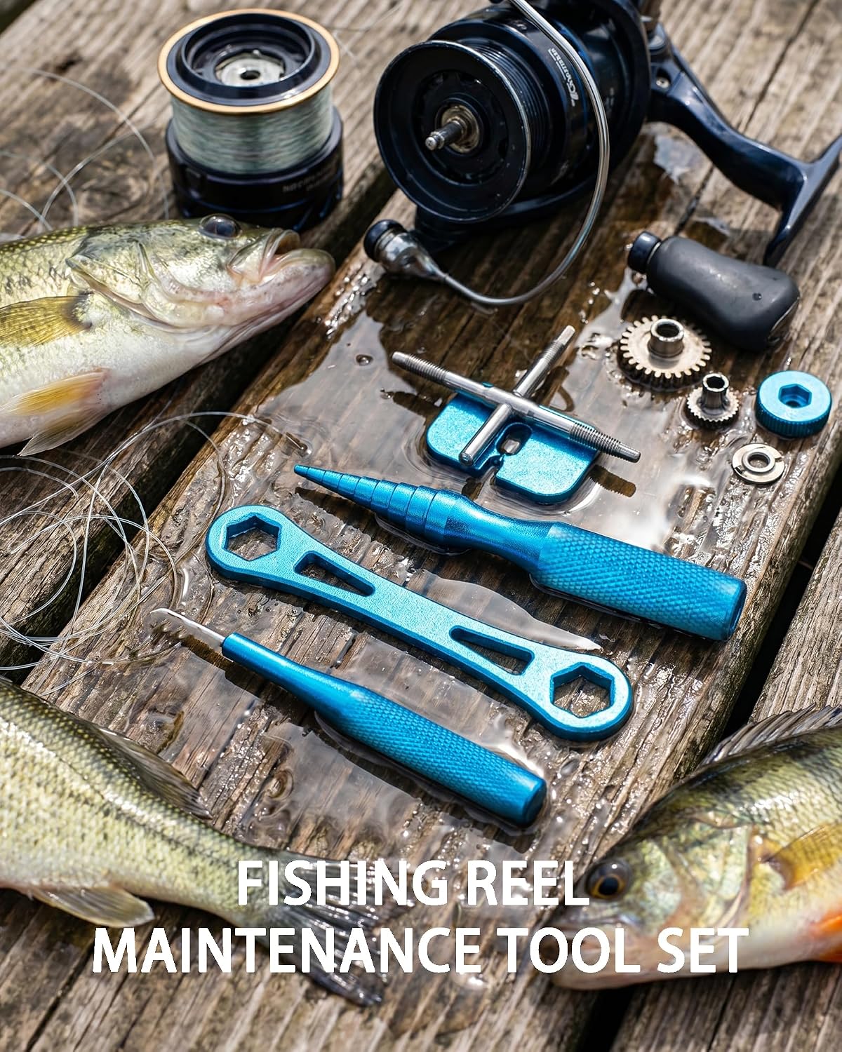 4-Pack Fishing Reel Maintenance Tool Set Bearing Removal & Installation Kit
