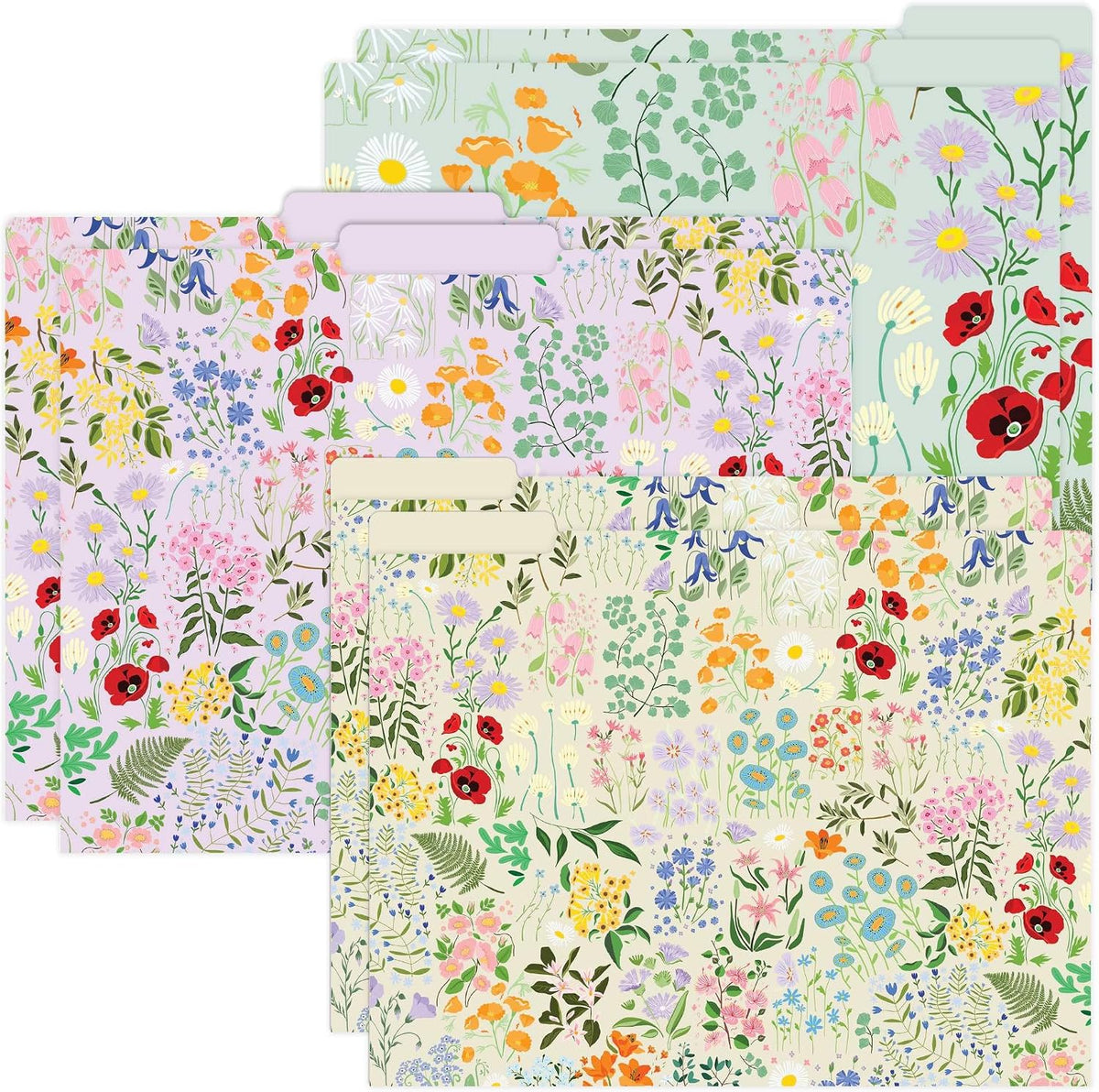 bloom daily planners Decorative File Folders - Set of Six Letter Size (8.5” x 11”)