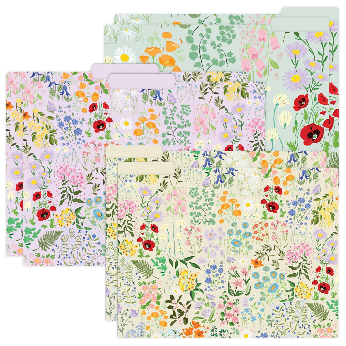 bloom daily planners Decorative File Folders - Set of Six Letter Size (8.5” x 11”)
