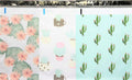 Designer Poly Mailers 10x13 : Cactus Mix ~ Flowering Cactus, Succulent