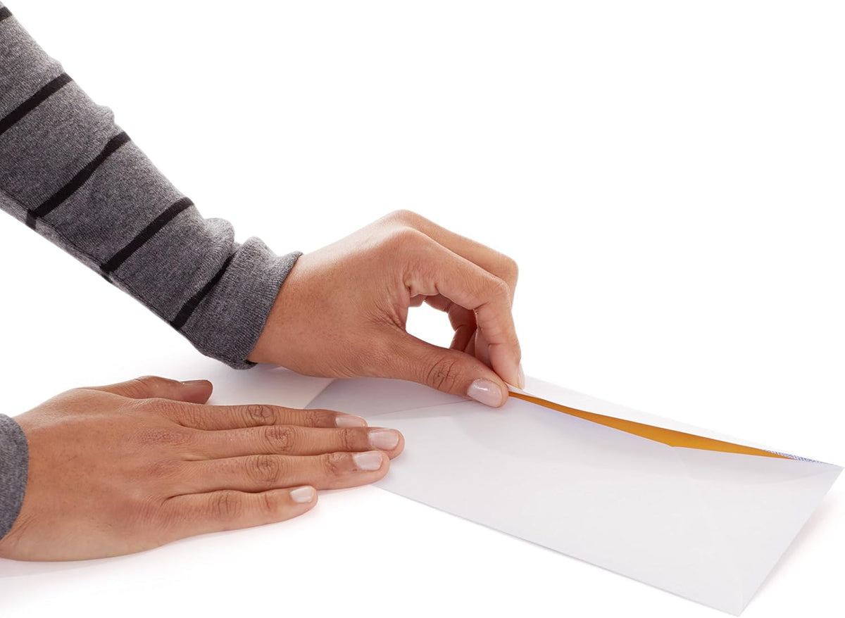 Amazon Basics #10 Security Tinted Business Envelopes for Documents and Invoices
