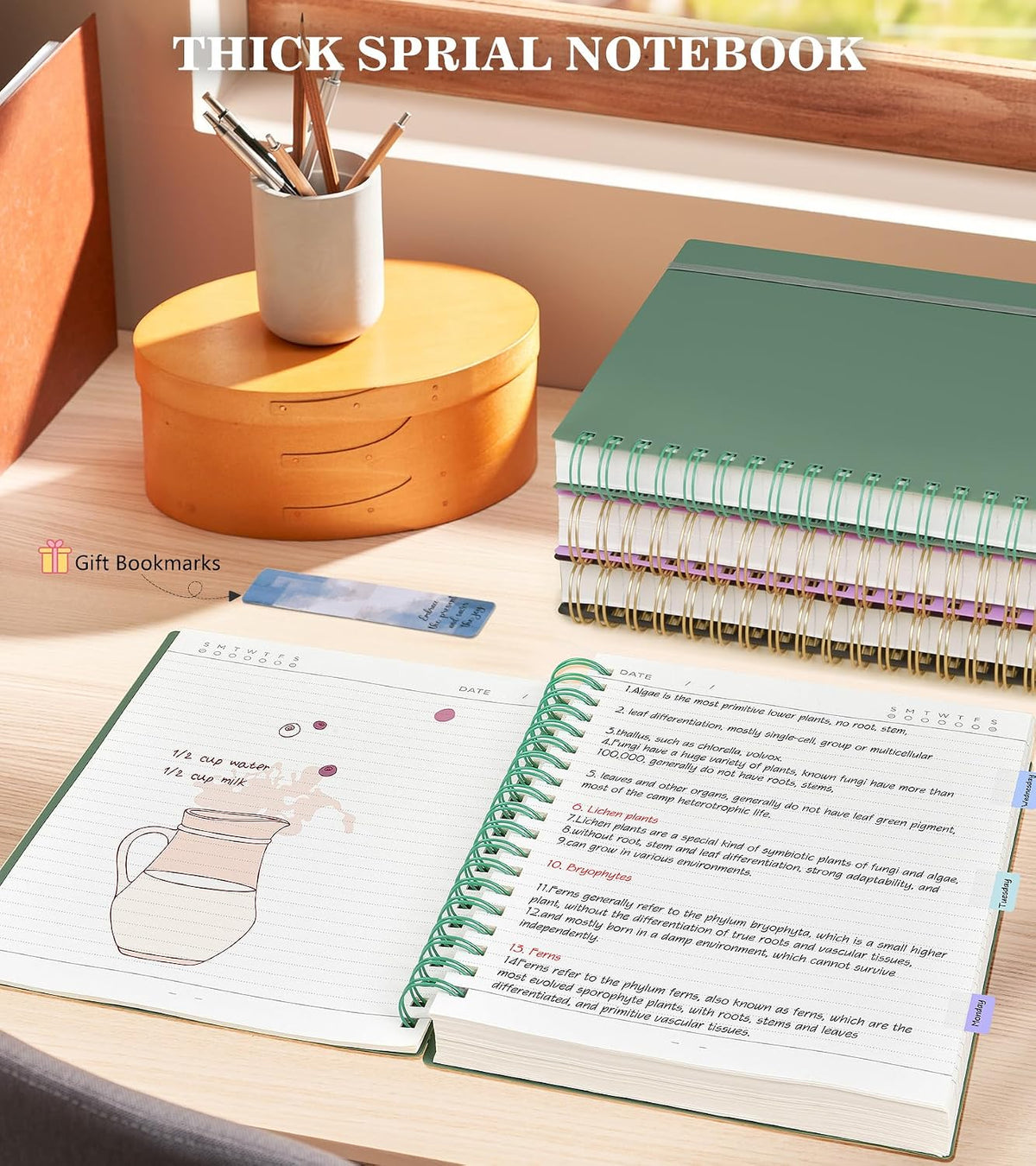 Spiral Notebook Journal, 360 Pages College Ruled Notebooks