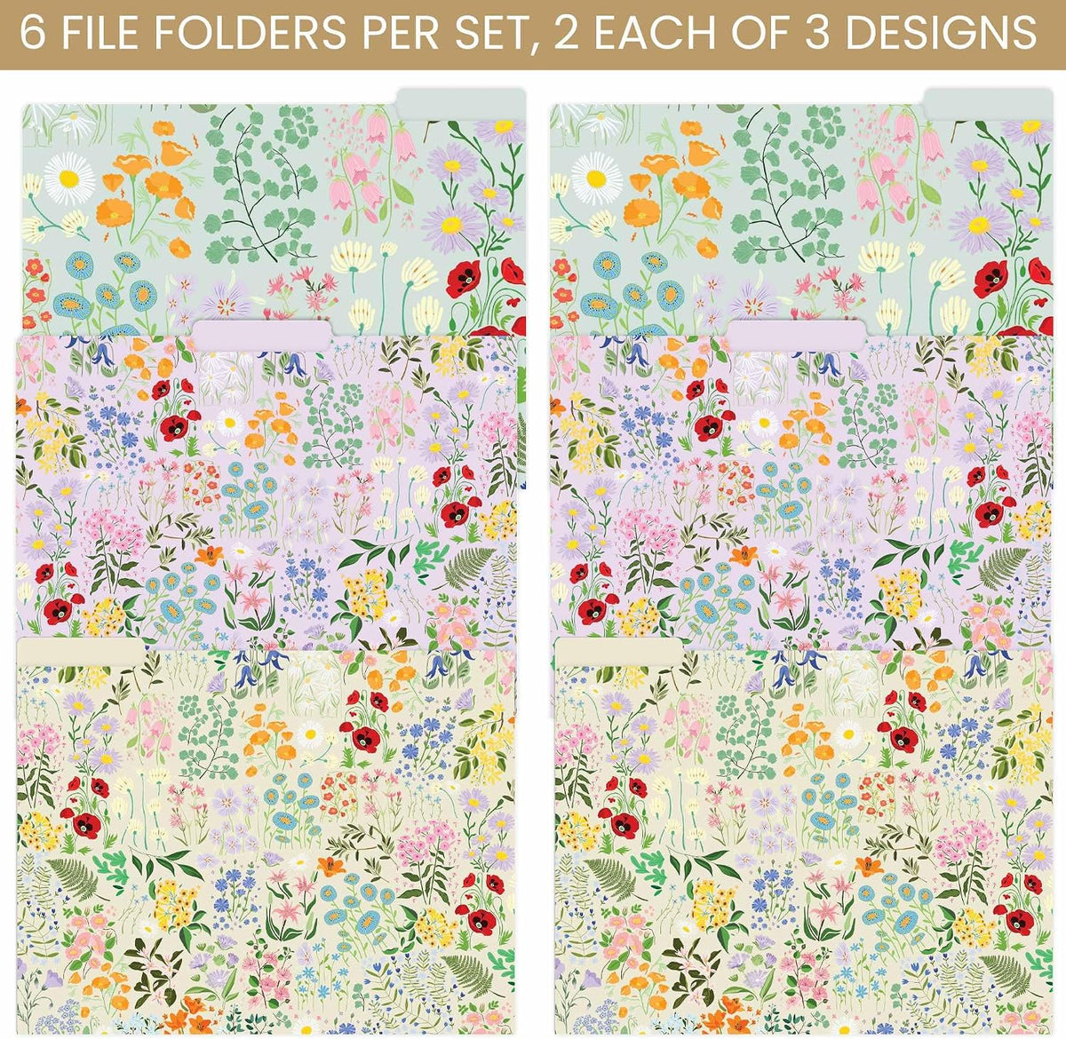 bloom daily planners Decorative File Folders - Set of Six Letter Size (8.5” x 11”)